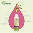 MACROVITA Olive.elia szampon przeciwłupieżowy z bio-oliwą i rozmarynem 200ml